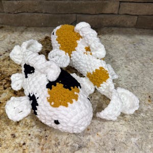 Paula added a photo of their purchase