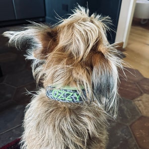 Martastorm added a photo of their purchase