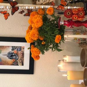 Cristina added a photo of their purchase