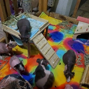 Izekial added a photo of their purchase