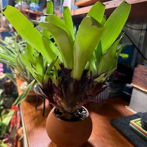 Christine added a photo of their purchase
