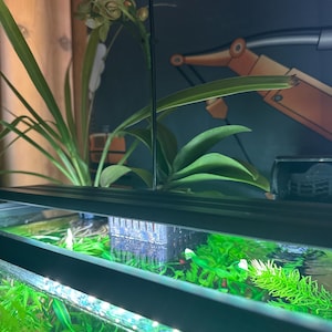 Jessica added a photo of their purchase