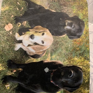 Etsy buyer added a photo of their purchase