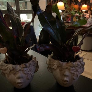 Mary added a photo of their purchase