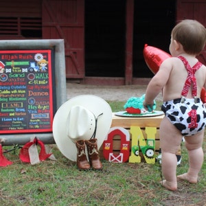 Boy Cake Smash Outfit, Farm Cake Smash, Cow Print, Barnyard Birthday, Boy 1st Birthday, Boy Cake Smash Set, 1st Birthday Photography Prop