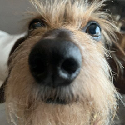 personalised ski ties