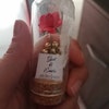 50PCS Beauty and the Beast Mini Glass Wedding Favors for - Etsy Canada