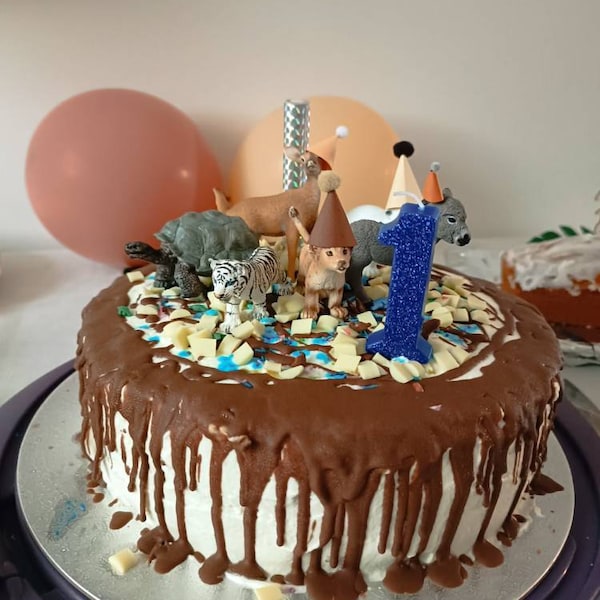 20x Mini Partyhüte Für Kuscheltiere & Haustiere - Bunt Mit Pompons