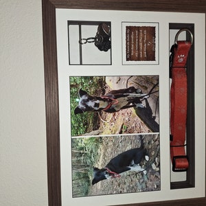 Kelly added a photo of their purchase
