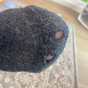 Lindsey added a photo of their purchase