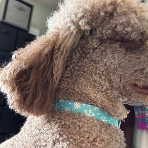 Acheteur Etsy a ajouté une photo de son achat