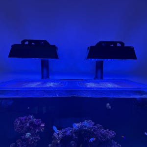 Brooklyne added a photo of their purchase