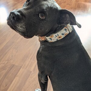 Stella added a photo of their purchase