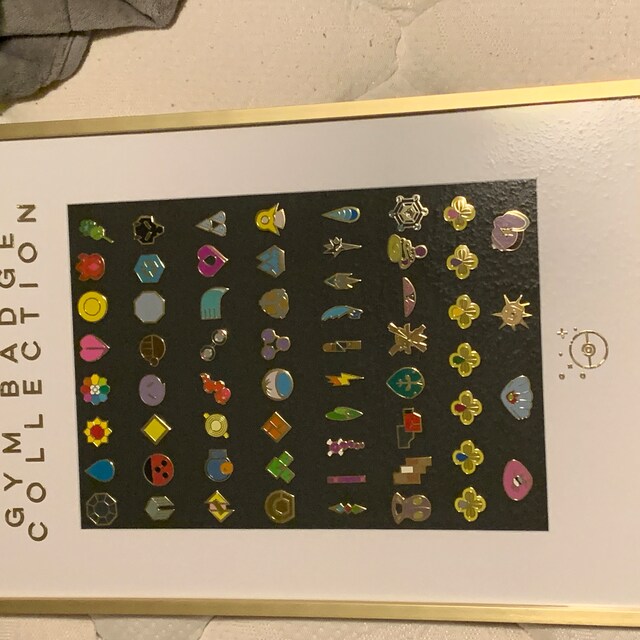 シンオウ ジムバッジ コレクション フレーム付き シンオウ ジムバッジ コレクション フレーム付き ポケモン