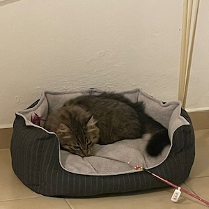 Inbar added a photo of their purchase