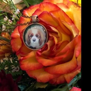 Martinez added a photo of their purchase