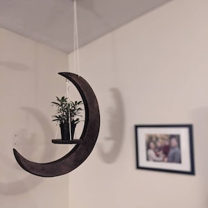 Ashley added a photo of their purchase