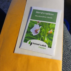 Whitney added a photo of their purchase
