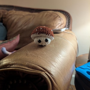 Jeanne added a photo of their purchase