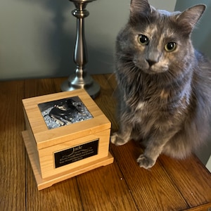 Renee a ajouté une photo de son achat