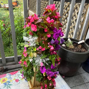 Lesley added a photo of their purchase