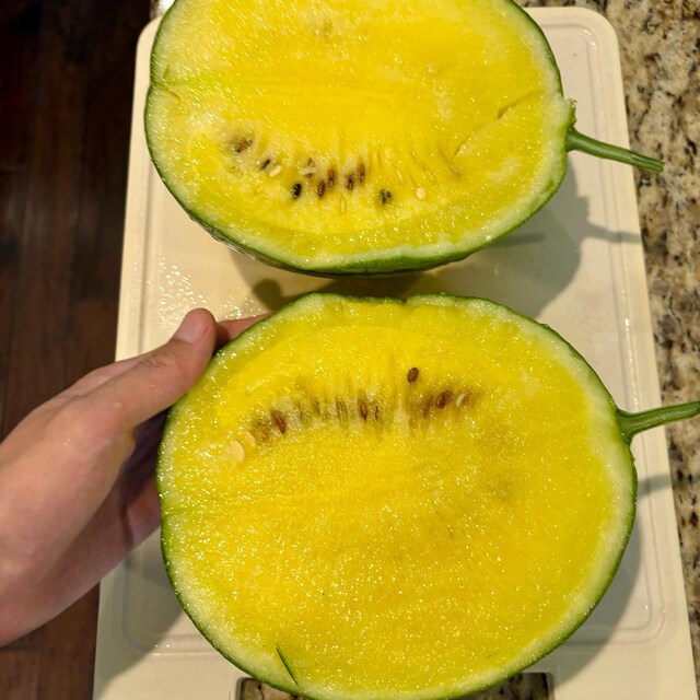 Rare Find! 20 Pony Yellow Hybrid Japanese Watermelon Seeds
