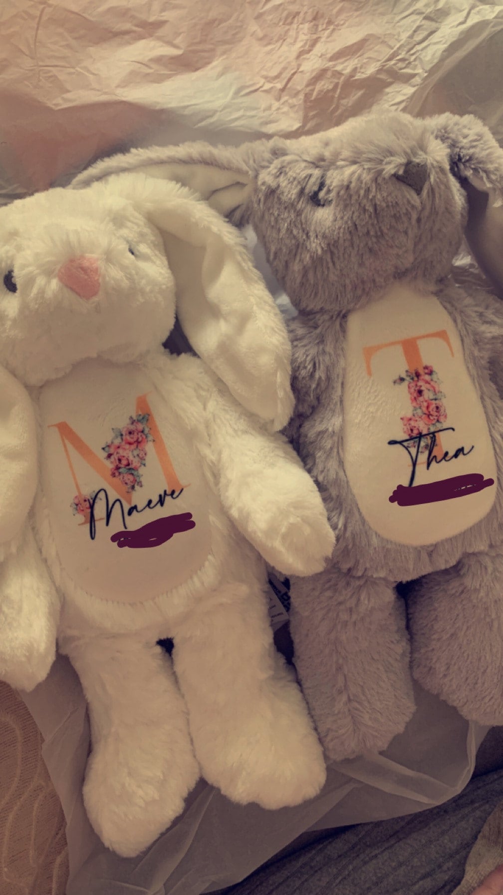 Personalised Bunny Rabbit, New Baby Gift, Personalised Plush Soft Toy, Your Name Teddy, Cuddly Toy, Girls and Boys Teddy Baby Shower Gift