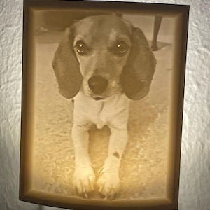 Sarah さんが購入した商品の写真を追加しました