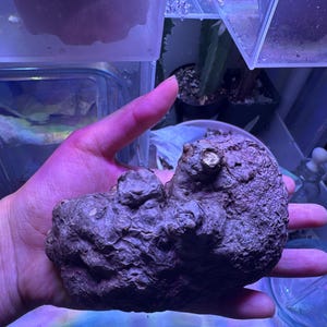 mer added a photo of their purchase