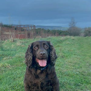 SHARON hat ein Foto des gekauften Artikels hinzugefügt