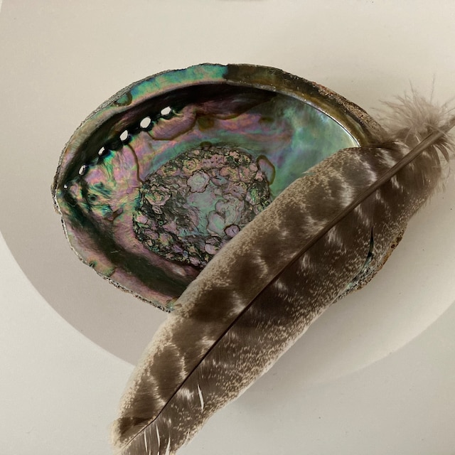 Turkey Smoke Cleansing Feather - Surrender To Happiness