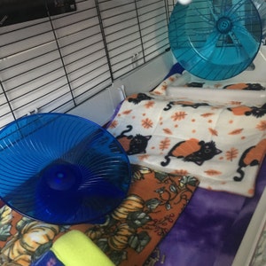 Andrea added a photo of their purchase
