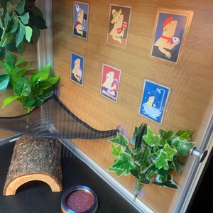 Abby さんが購入した商品の写真を追加しました