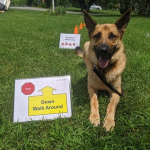AKC Rally Laminated Sign Set NOVICE MASTER - Etsy