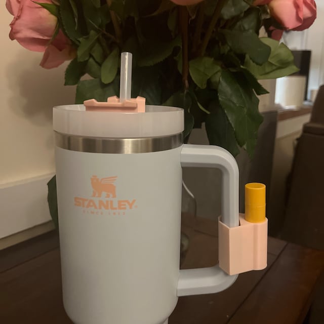 Join my Stanley chit chat group! #stanleytumbler #stanleyobsession