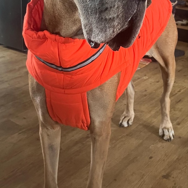 Comfortable Full Body Dog Suit, Overall for Dogs, Waterproof