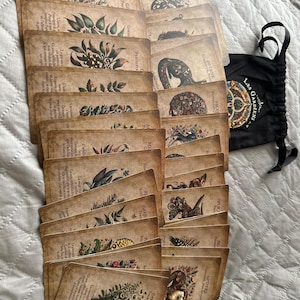 annabelle added a photo of their purchase