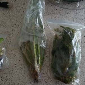 Manny added a photo of their purchase