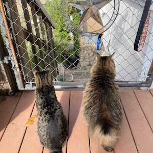 Figpucker added a photo of their purchase
