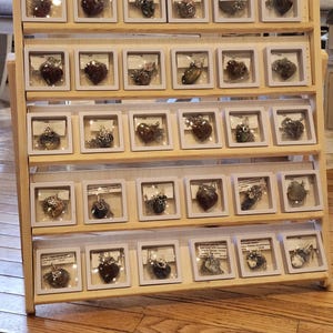 Suzi added a photo of their purchase
