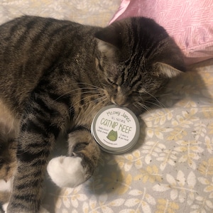 Lydia ha añadido una foto de su compra