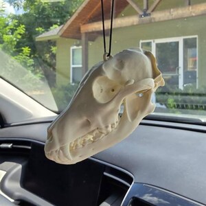 Autumn added a photo of their purchase