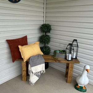 Terra added a photo of their purchase
