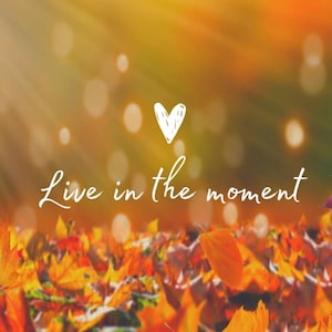 Stacey added a photo of their purchase