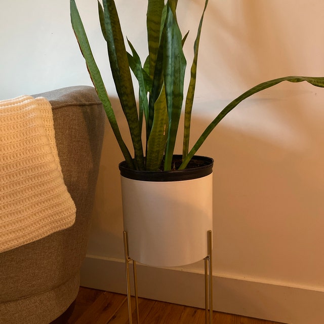Gianna Modern White Indoor Metal Planters with Gold Legs(Set of 2) - On Sale - O