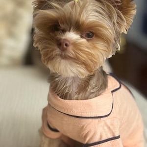 Sabina added a photo of their purchase