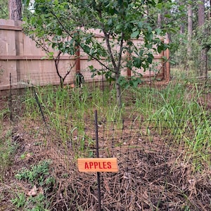 APPLES Sign, Outdoor Sign, Yard Art, Fruit Tree Marker, Orchard Sign ...
