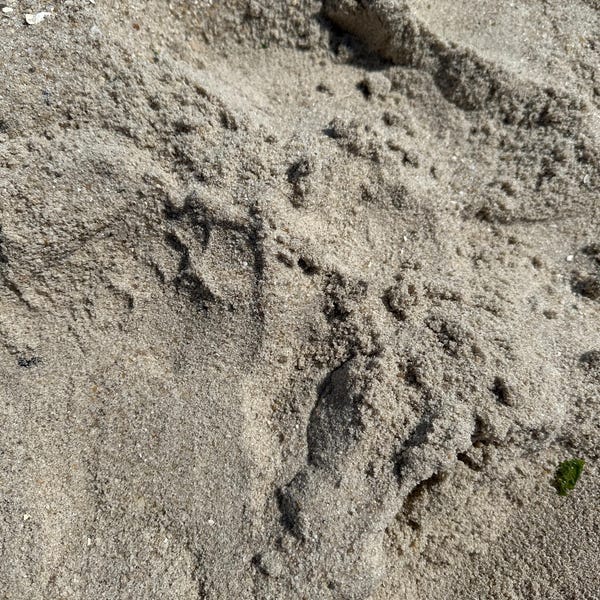 Big Virgo Energy Baseball Cap - Adjustable Embroidered Zodiac Hat With Antique Brass Buckle