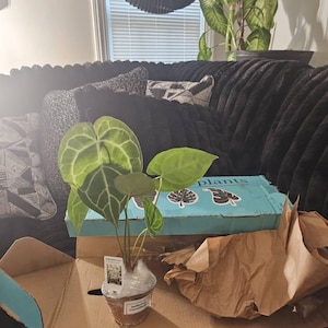 Marquette added a photo of their purchase