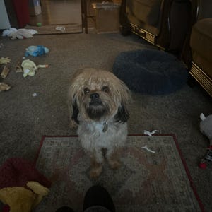 Rachel heeft een foto van de aankoop toegevoegd
